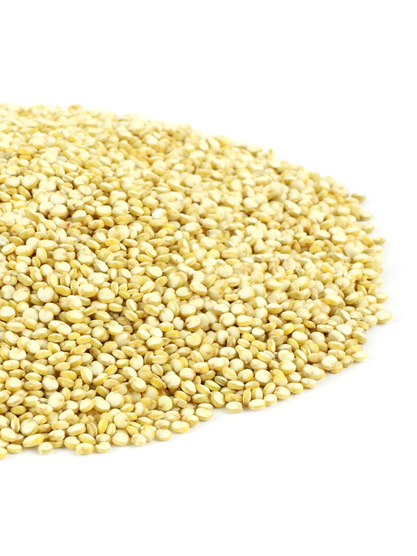 Organic Quinoa Bulk
 Organic White Quinoa 5KG Bulk