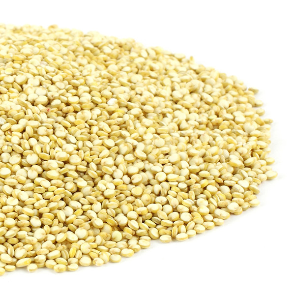 Organic Quinoa Bulk
 Organic White Quinoa 25KG Bulk