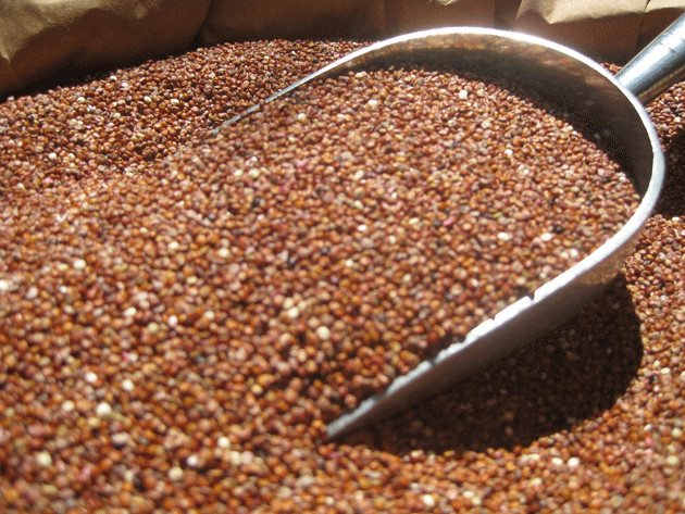 Organic Quinoa Bulk
 ORGANIC QUINOA RED SEED 3 KG BULK FREE FROM GLUTEN