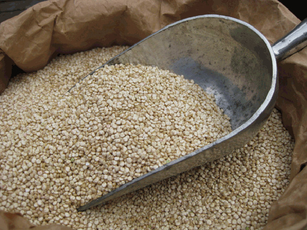 Organic Quinoa Bulk
 ORGANIC QUINOA WHITE SEED 3 KG BULK FREE FROM GLUTEN