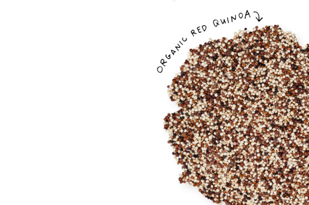 Organic Red Quinoa
 Snap Kitchen – The one stop healthy meal shop