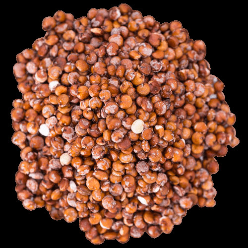 Organic Red Quinoa
 Organic Red Quinoa