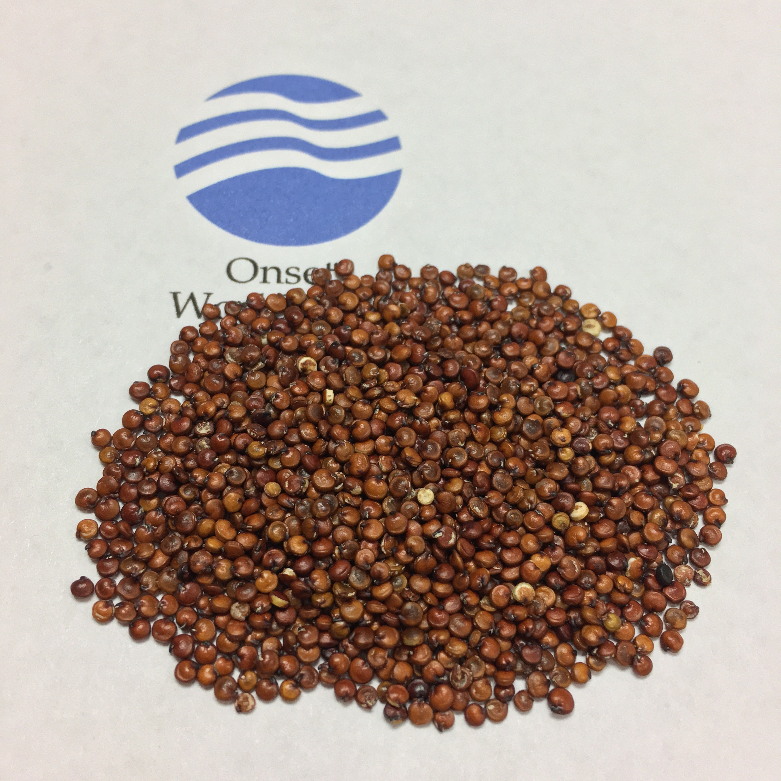 Organic Red Quinoa
 Industry