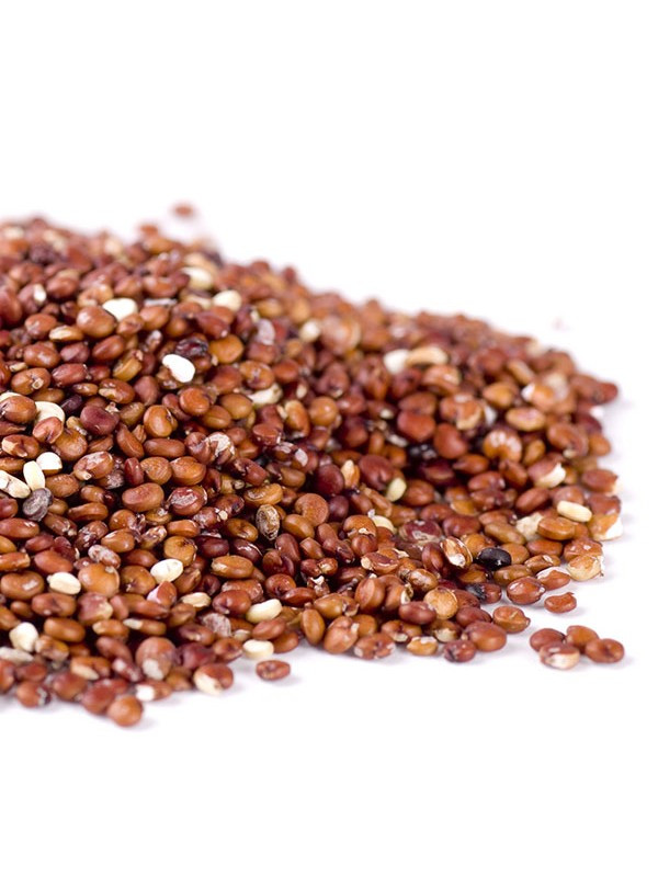 Organic Red Quinoa
 Organic Red Quinoa 25KG Bulk