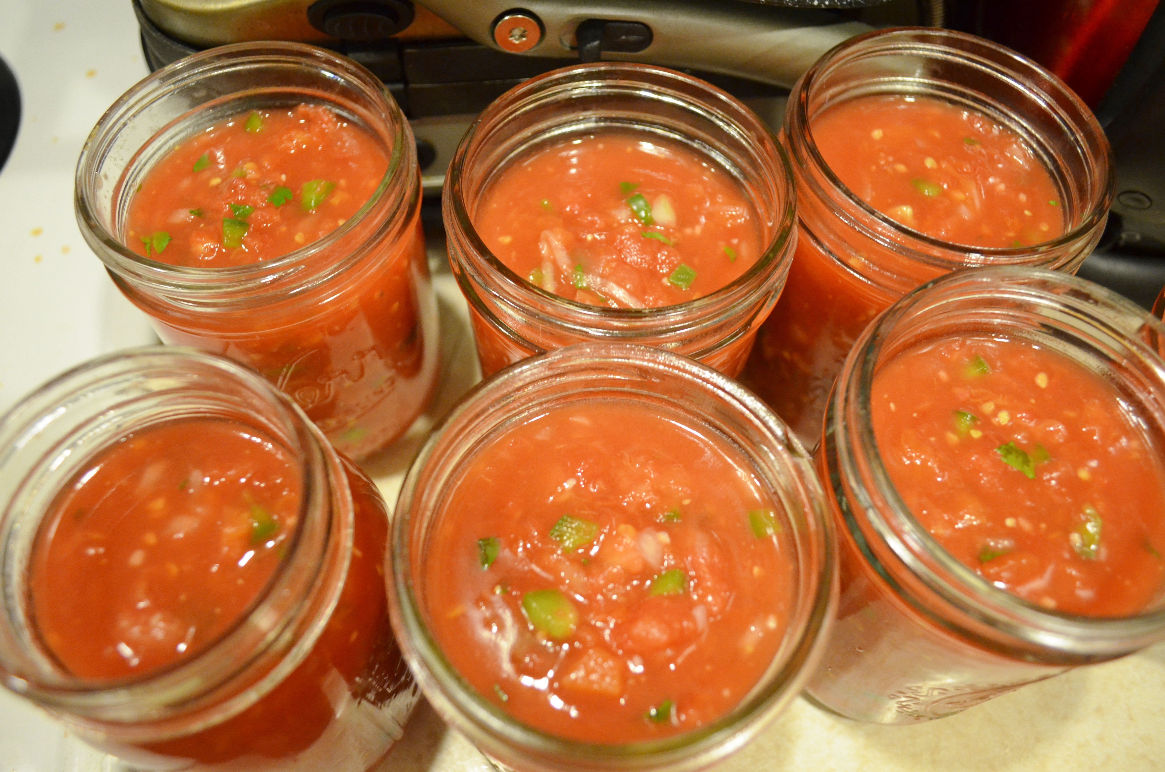 Organic Salsa Recipe
 How to Make Organic Homemade Salsa Recipe Surviving A