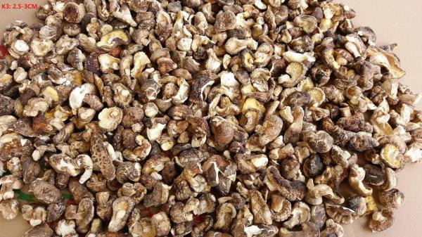 Organic Shiitake Mushrooms
 Cheap Organic shiitake mushroom whole Dried Shiitake