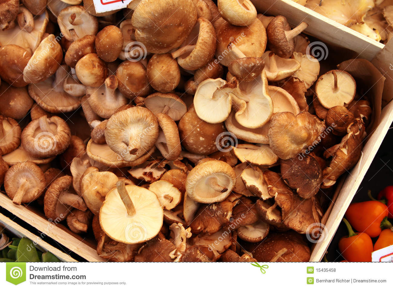 Organic Shiitake Mushrooms
 Organic Shiitake Mushrooms Royalty Free Stock s