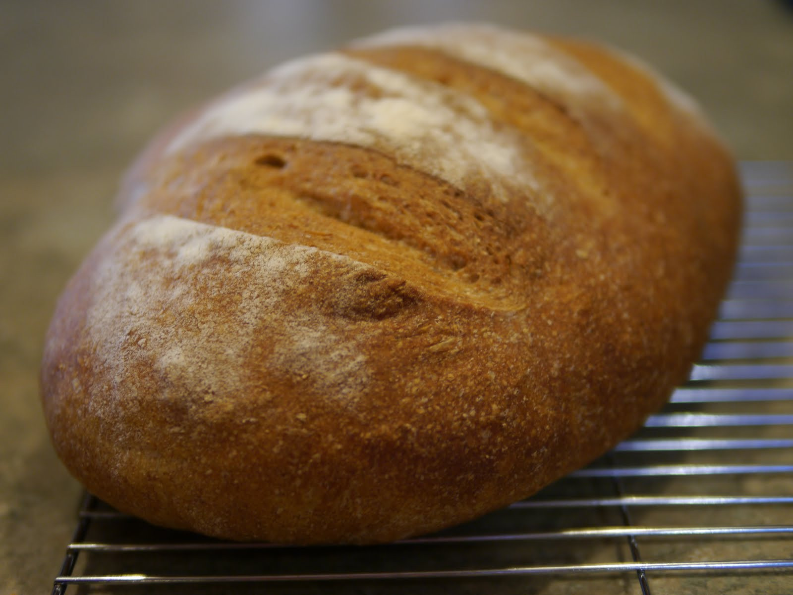 Organic Sourdough Bread
 Whole Wheat Sourdough Bread Recipe – Backwoods Mama