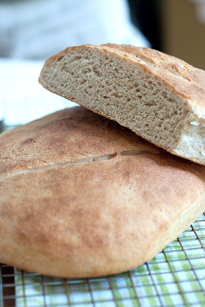 Organic Sourdough Bread
 Whole Wheat Sourdough Bread