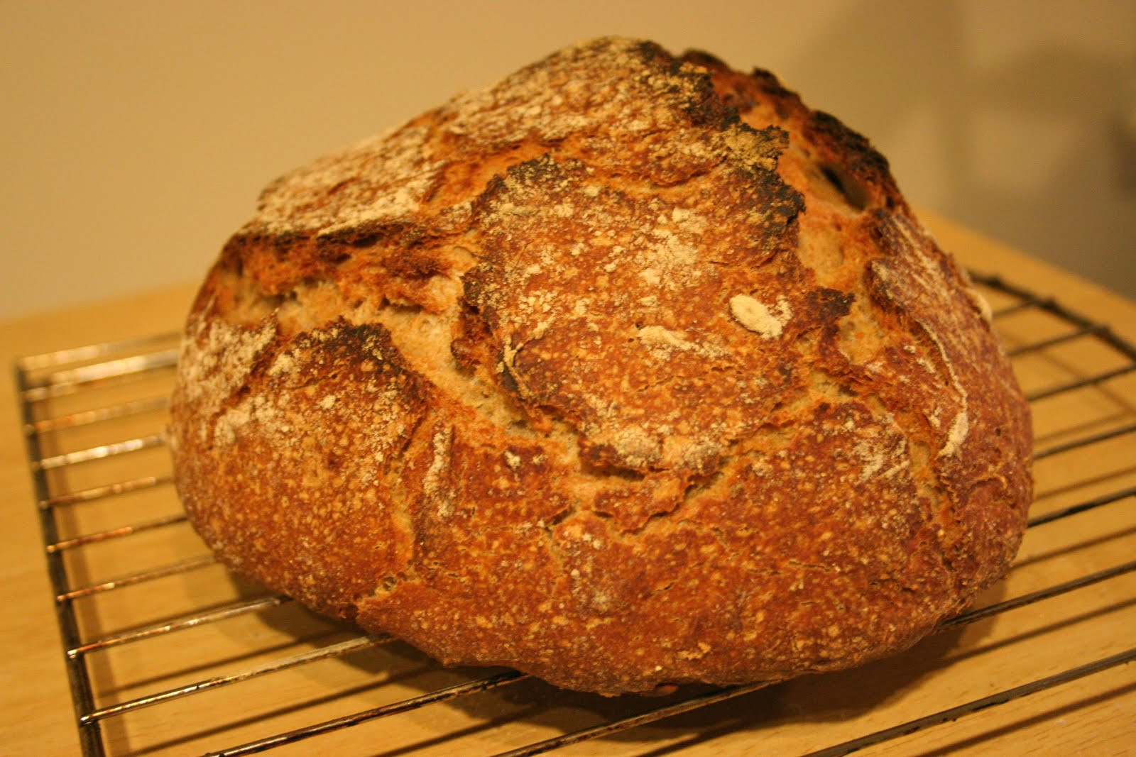 Organic Sourdough Bread
 Color Me Green Making Whole Grain Sourdough Bread