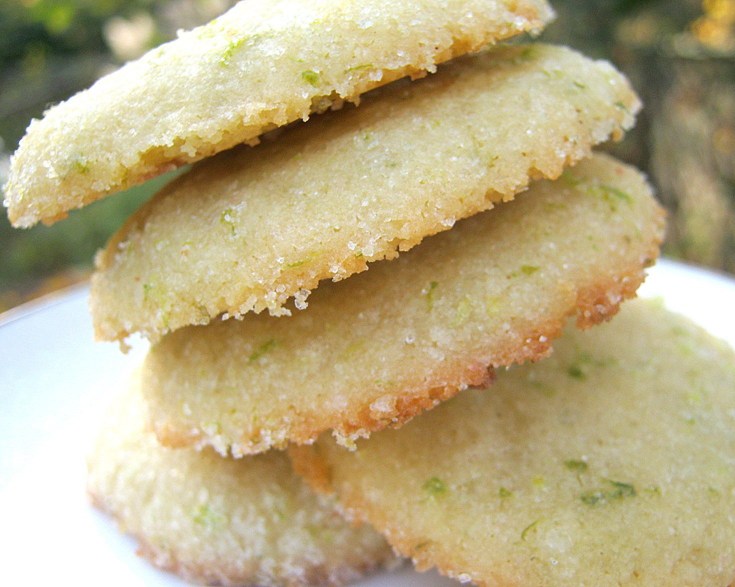 Organic Sugar Cookies
 Sugar Lime Cookies Sugar Cookies All Natural by