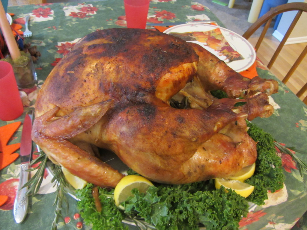 Organic Thanksgiving Turkey
 All natural turkey home delivered Pine needles in my salad