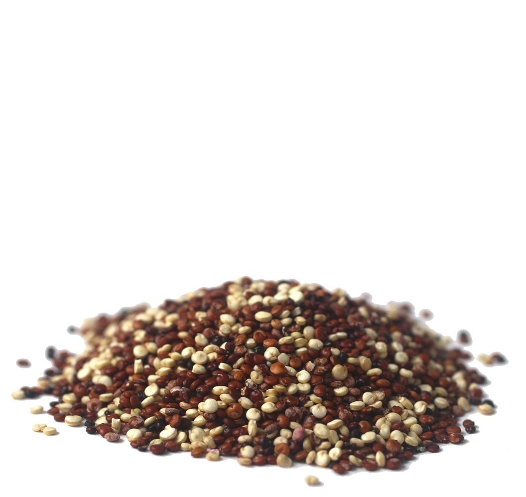 Organic Tricolor Quinoa 20 Best Ideas Buy organic Tricolor Quinoa Family Farm organics 454g