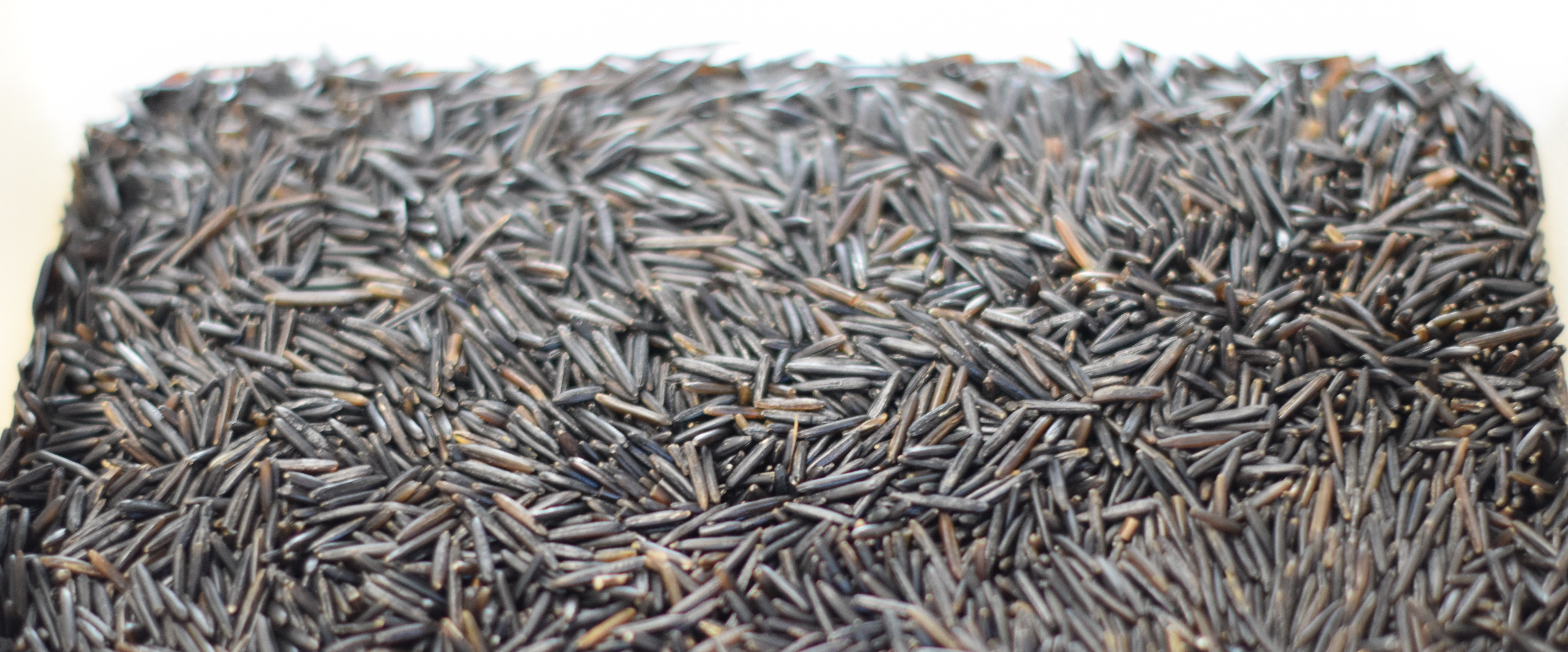 Organic Wild Rice Bulk
 Rice & Grains