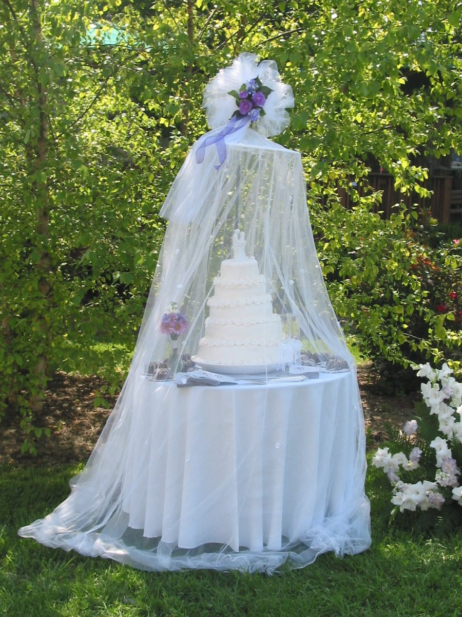 Outdoor Wedding Cakes
 diy Wedding Ideas Protect Your Outdoor Wedding Cake