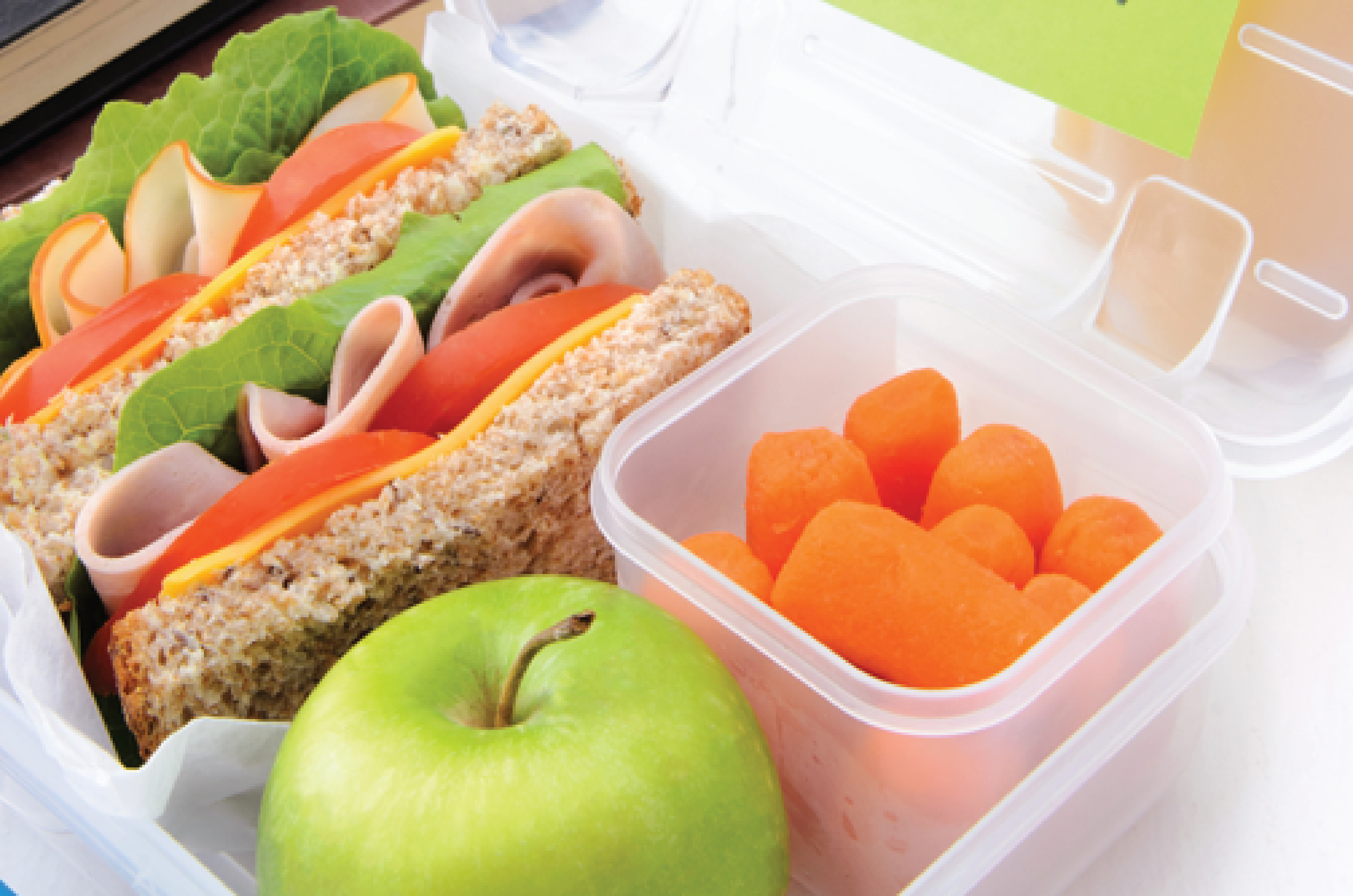 Pack Healthy School Lunches
 Pack Earth Friendly School Lunches