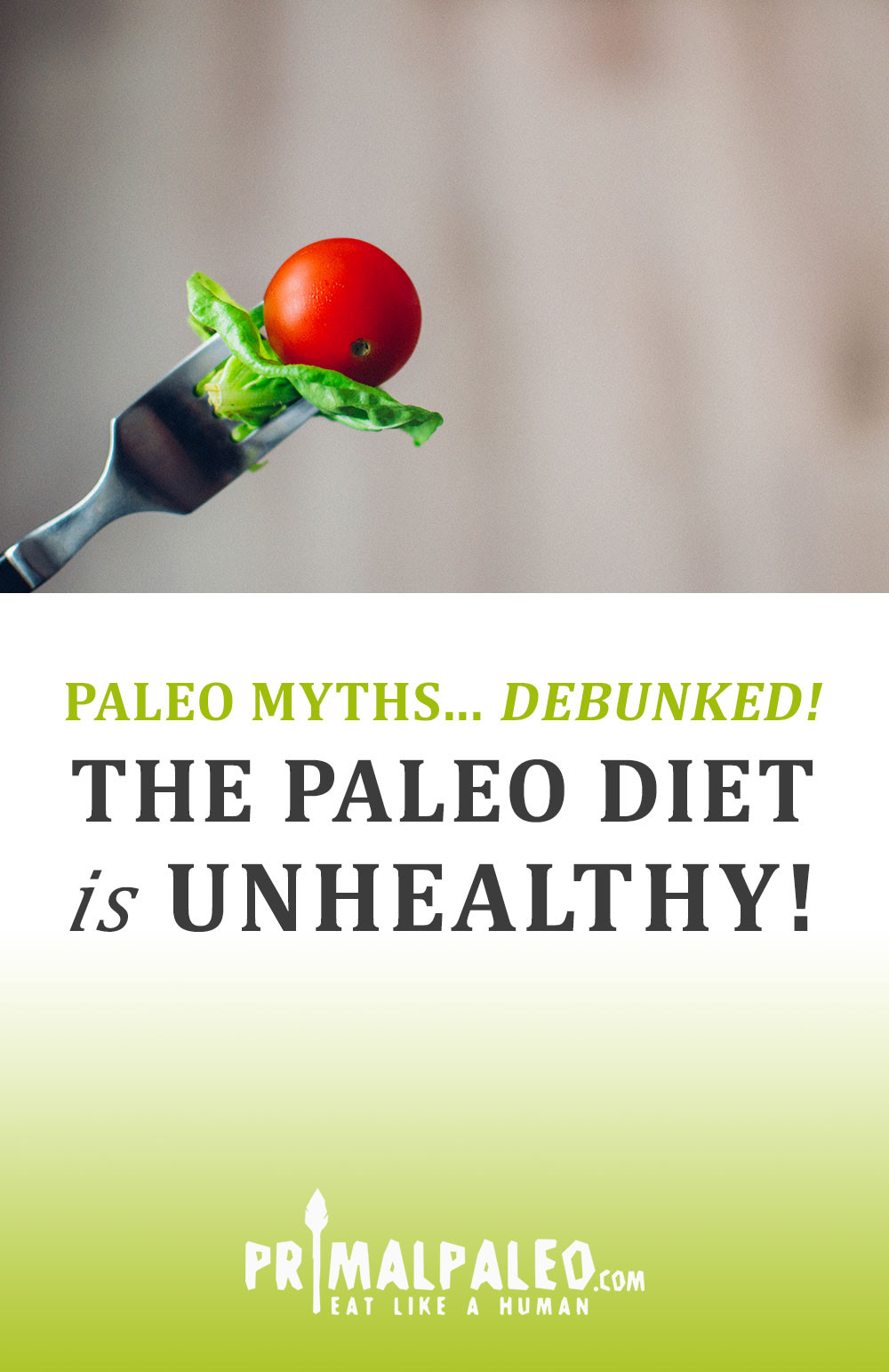 Paleo Diet Unhealthy 20 Best Ideas [paleo Myths… Debunked ] the Paleo Diet is Unhealthy