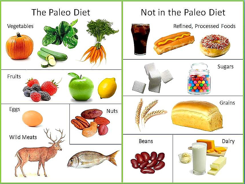 Paleo Diet Unhealthy
 The Paleo Diet