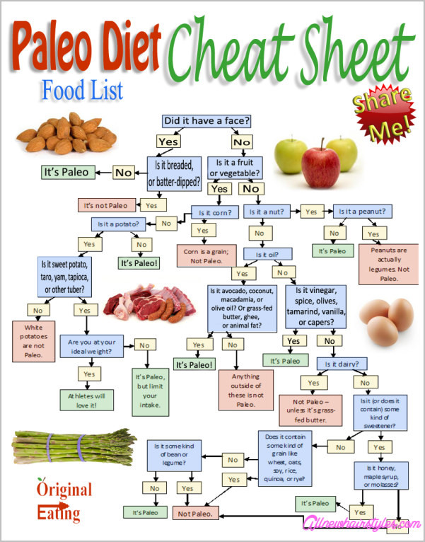 Paleo Diet Unhealthy
 The Paleo Diet AllNewHairStyles