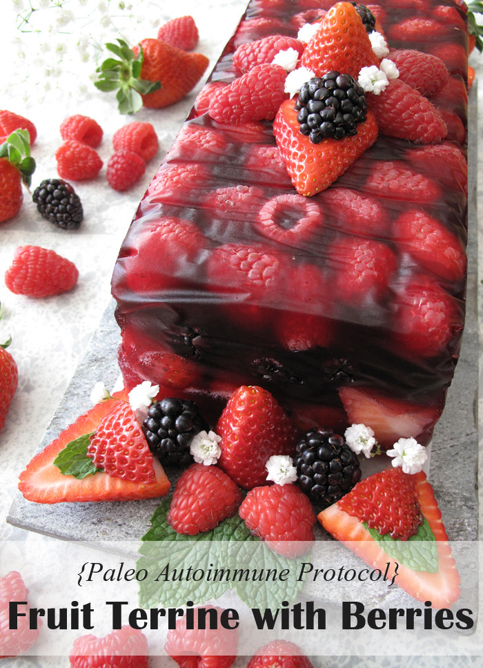 Paleo Summer Desserts
 AIP Paleo Fruit Terrine with Berries No Bake Summer