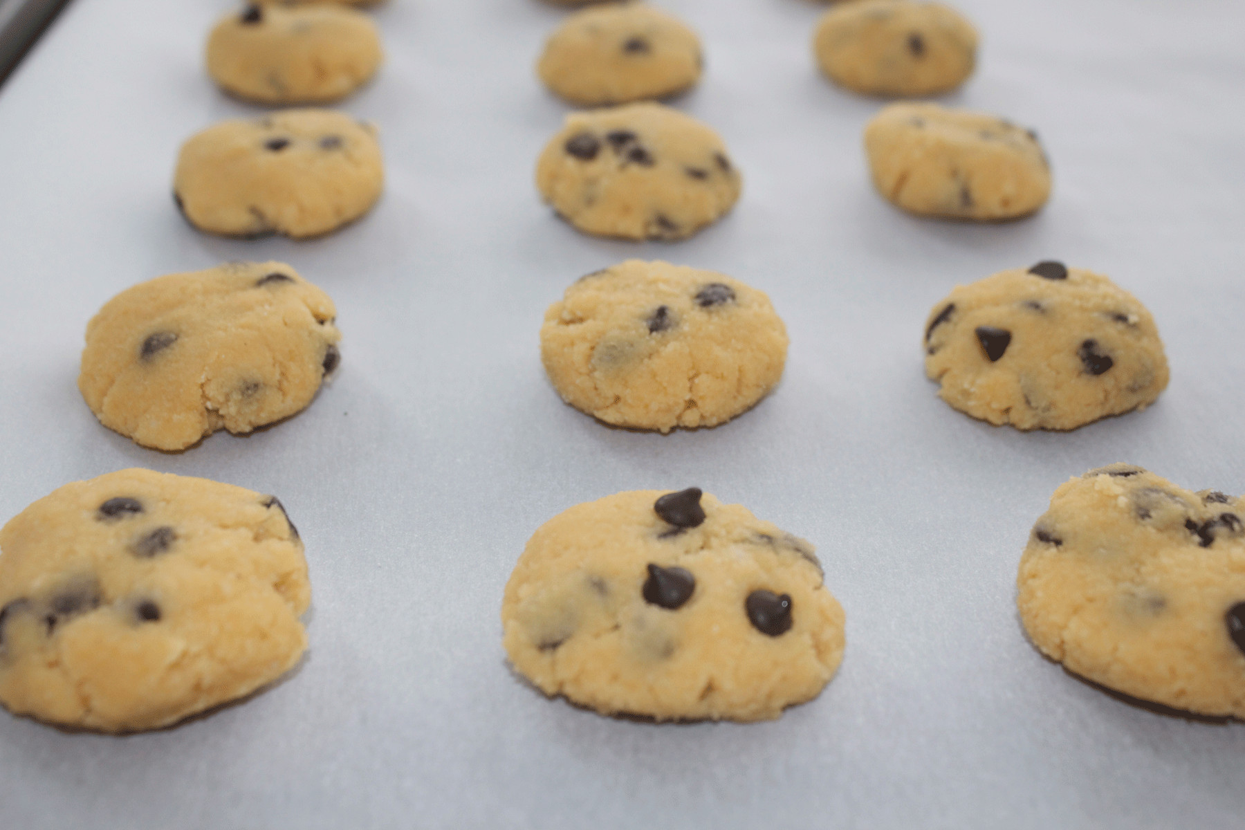 Passover Chocolate Chip Cookies
 Chocolate Chip Cookies For Passover Recipe — Dishmaps