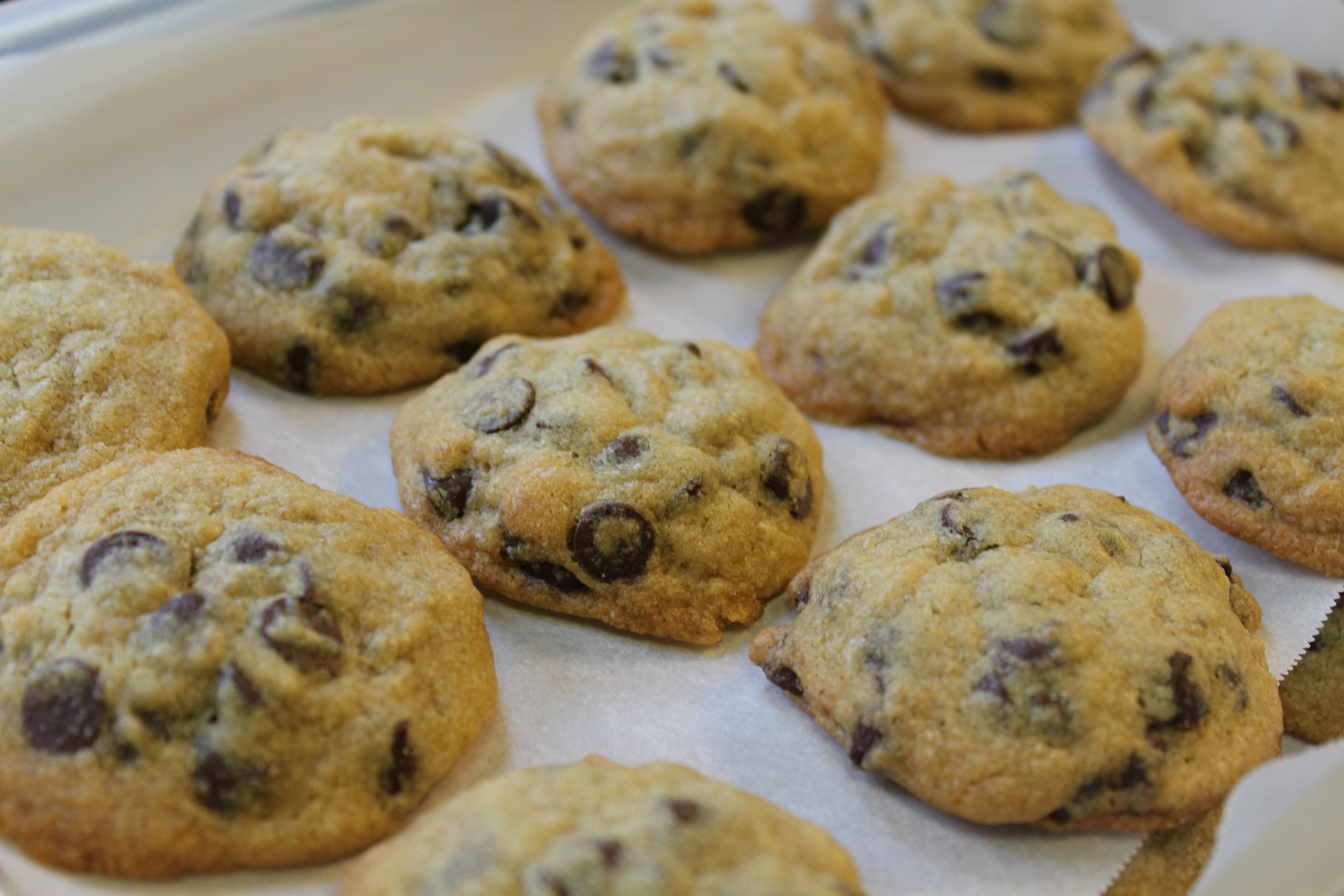 Passover Chocolate Chip Cookies
 Passover Chocolate Chip Cookies