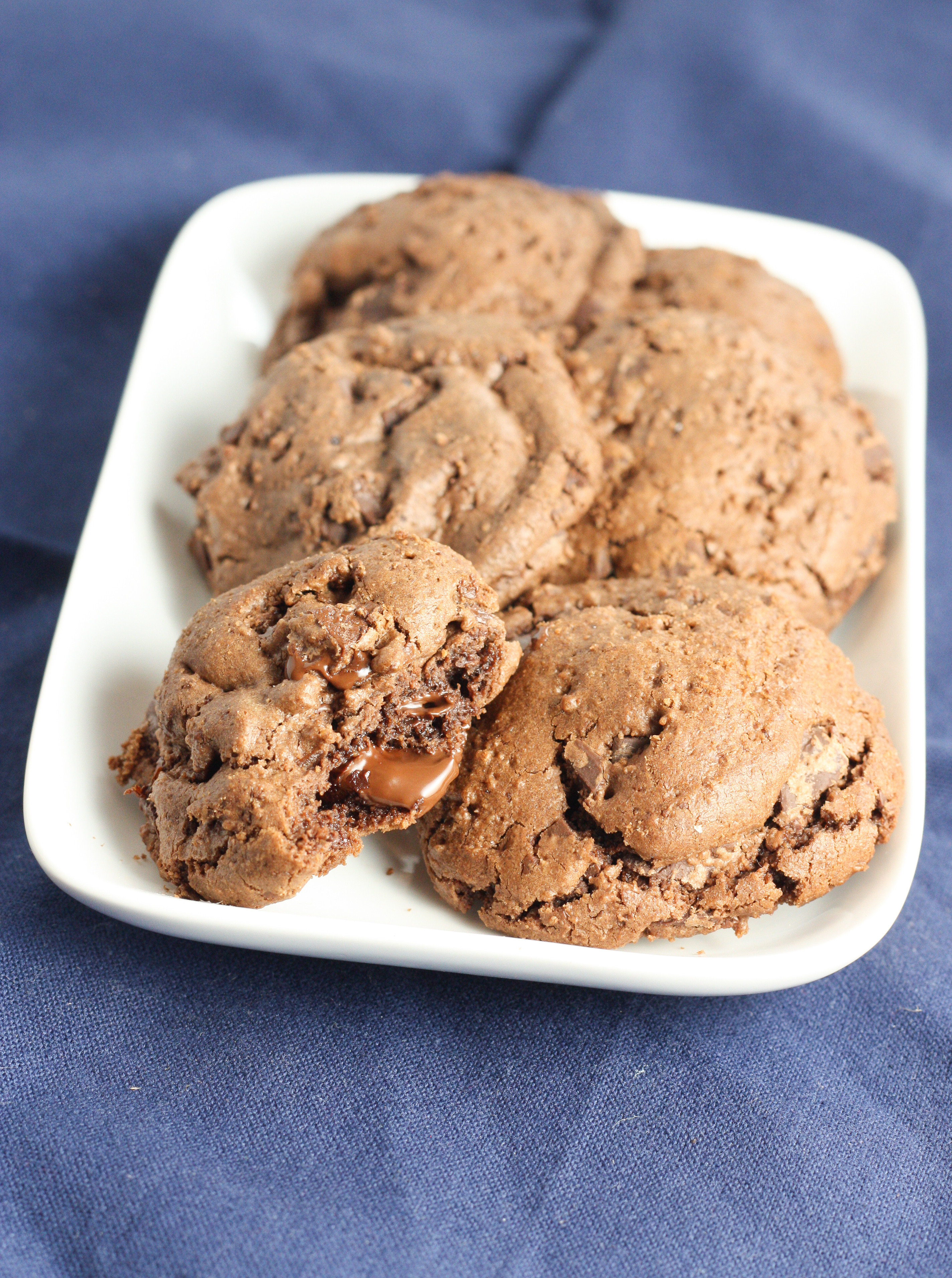 Passover Chocolate Chip Cookies
 Chocolate Chip Cookies For Passover Recipe — Dishmaps