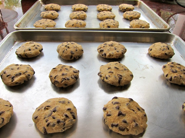 Passover Chocolate Chip Cookies
 Rich and Decadent Chocolate Chip Cookies for Passover