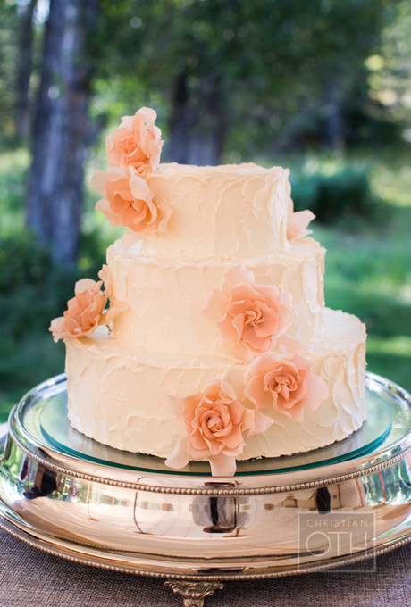 Peach Wedding Cake
 peach wedding cakes