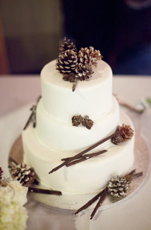 Pine Cone Wedding Cakes
 Picture Amazing Cakes For Your Winter Wedding