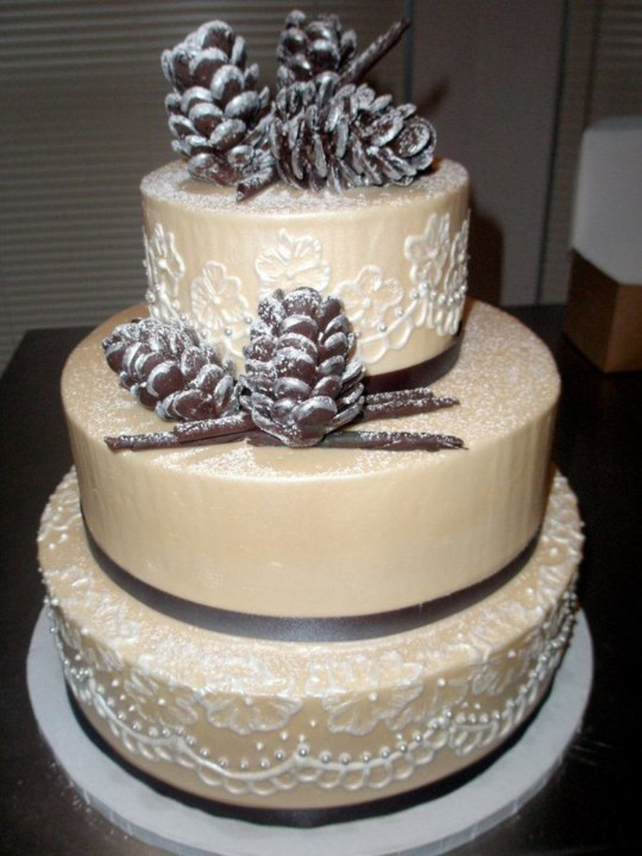 Pine Cone Wedding Cakes
 Winter Pinecone Cake CakeCentral