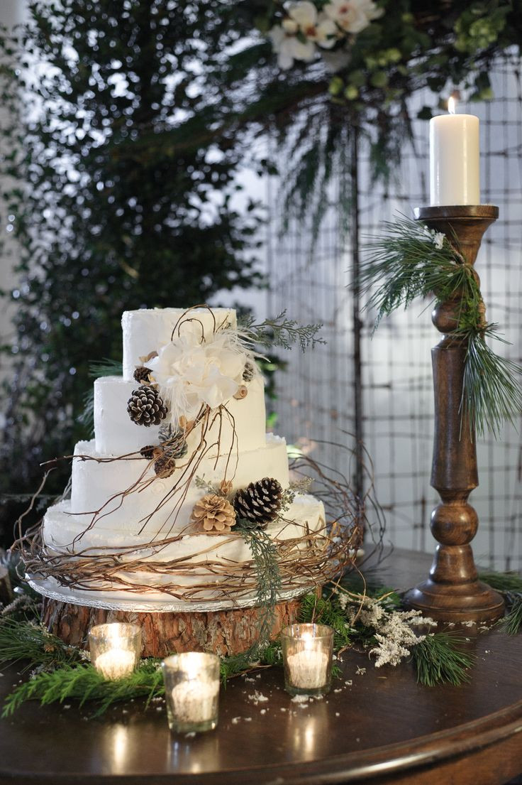 Pine Cone Wedding Cakes
 Winter Wedding Cakes We Love10