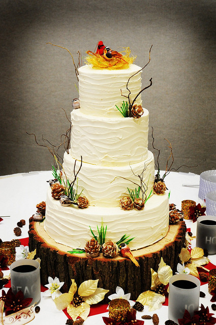 Pine Cone Wedding Cakes
 Winter Wedding Cake