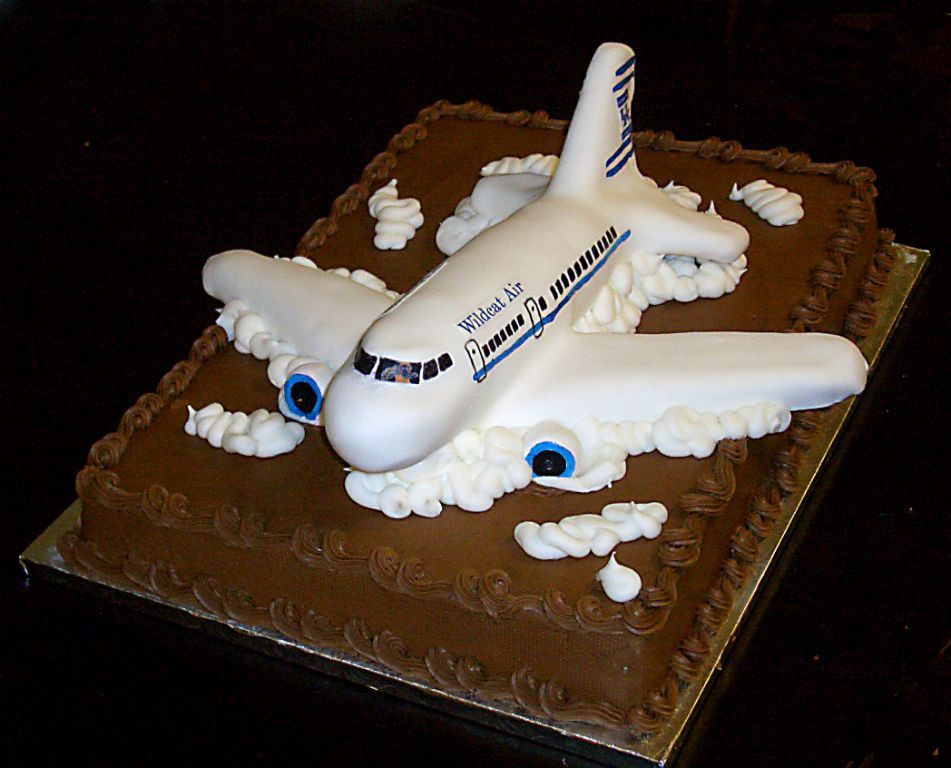 Plane Wedding Cakes
 Airplane groom s cake Totally should have done for my