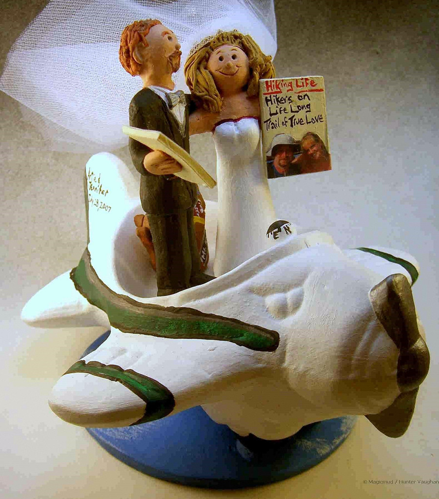 Plane Wedding Cakes
 Airplane Themed Wedding Cake Topper