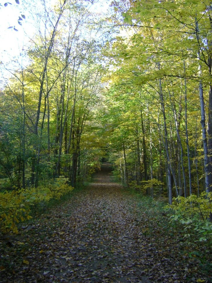 Potato Creek Camping
 22 best images about Potato Creek State Park on Pinterest