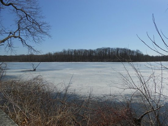 Potato Creek Camping
 birds Picture of Potato Creek State Park North Liberty