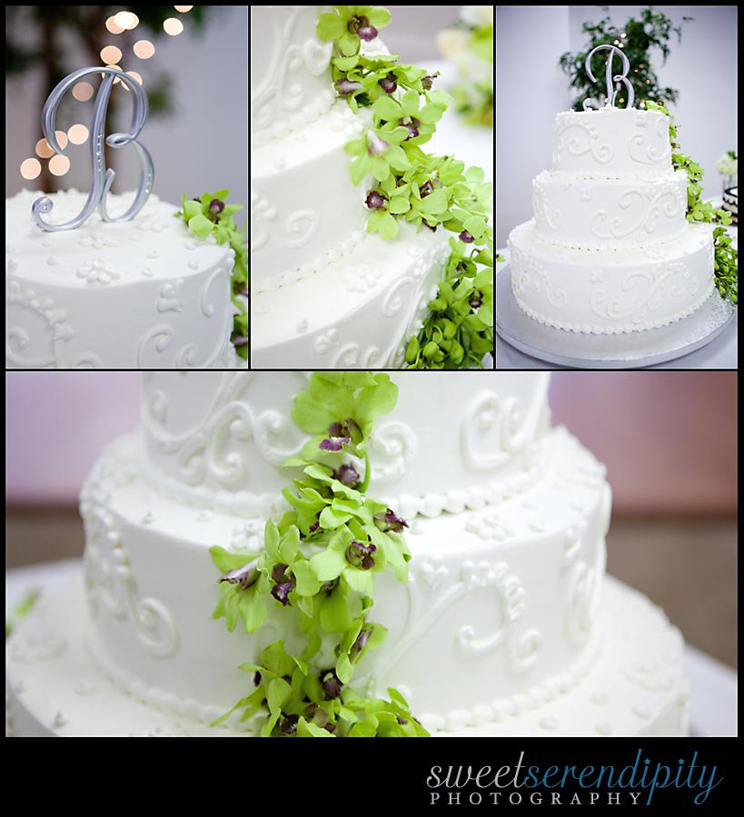 Publix Wedding Cakes Cost
 How Much Do Publix Wedding Cakes Cost Party XYZ