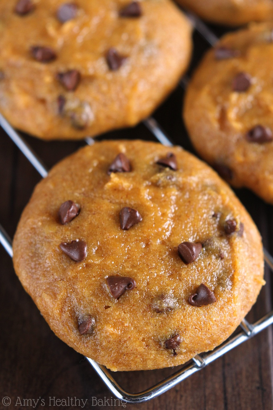 Pumpkin Cookies Recipe Healthy
 Ultimate Healthy Soft & Chewy Pumpkin Chocolate Chip