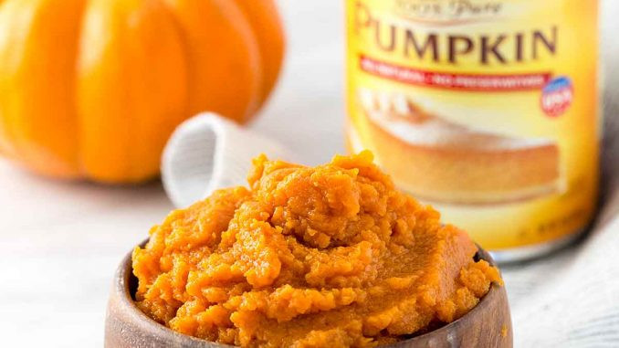 Pumpkin Puree Recipes Healthy
 Pumpkin puree recipes healthy about health