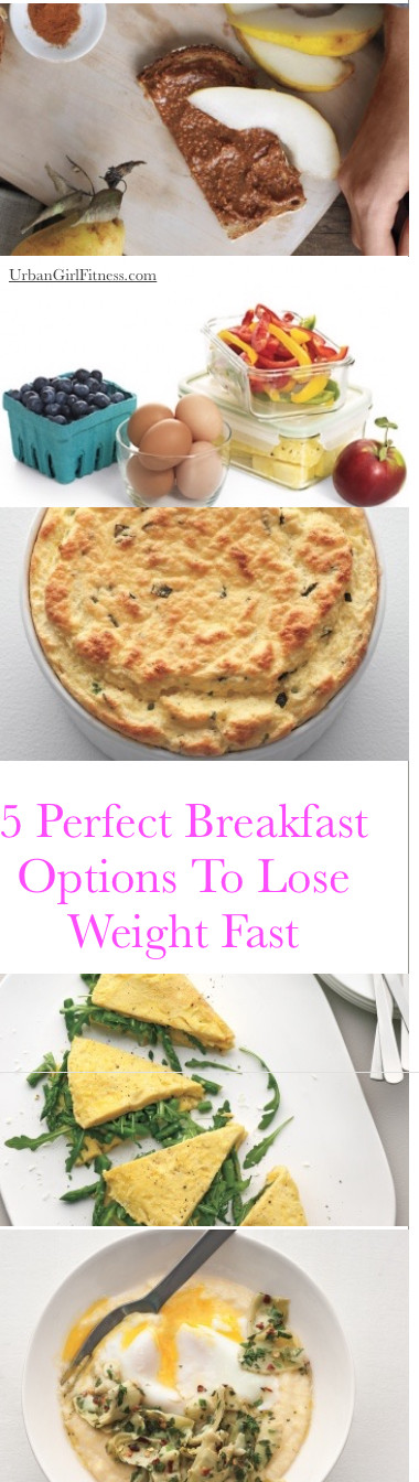 Quick Healthy Breakfast For Weight Loss
 perfect breakfast to lose weight