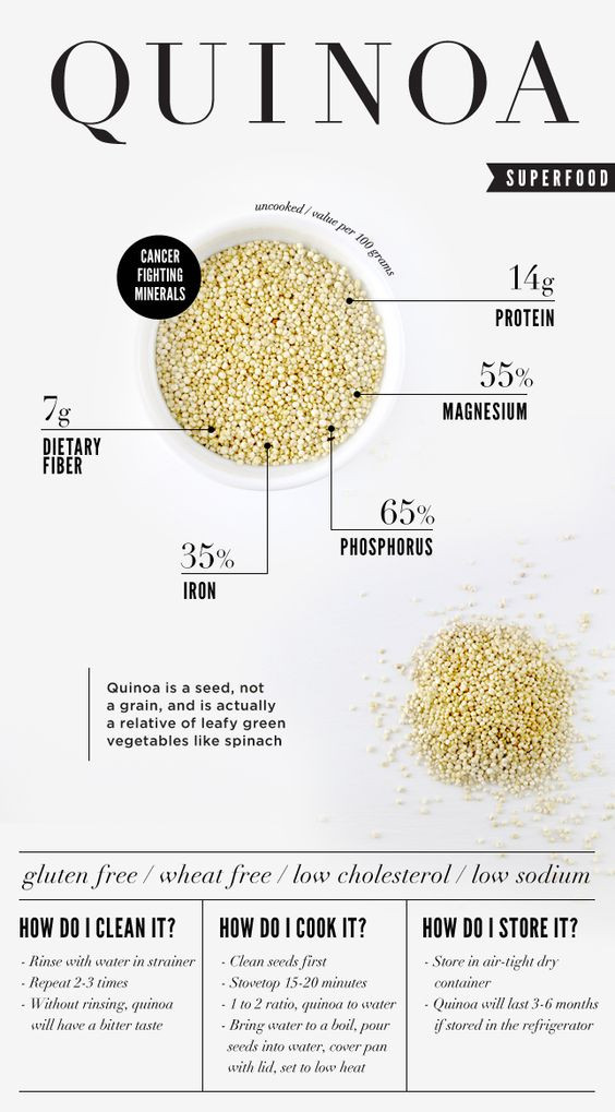 Quinoa Healthy Or Not
 We are the DinoFamily 我們是恐龍家族