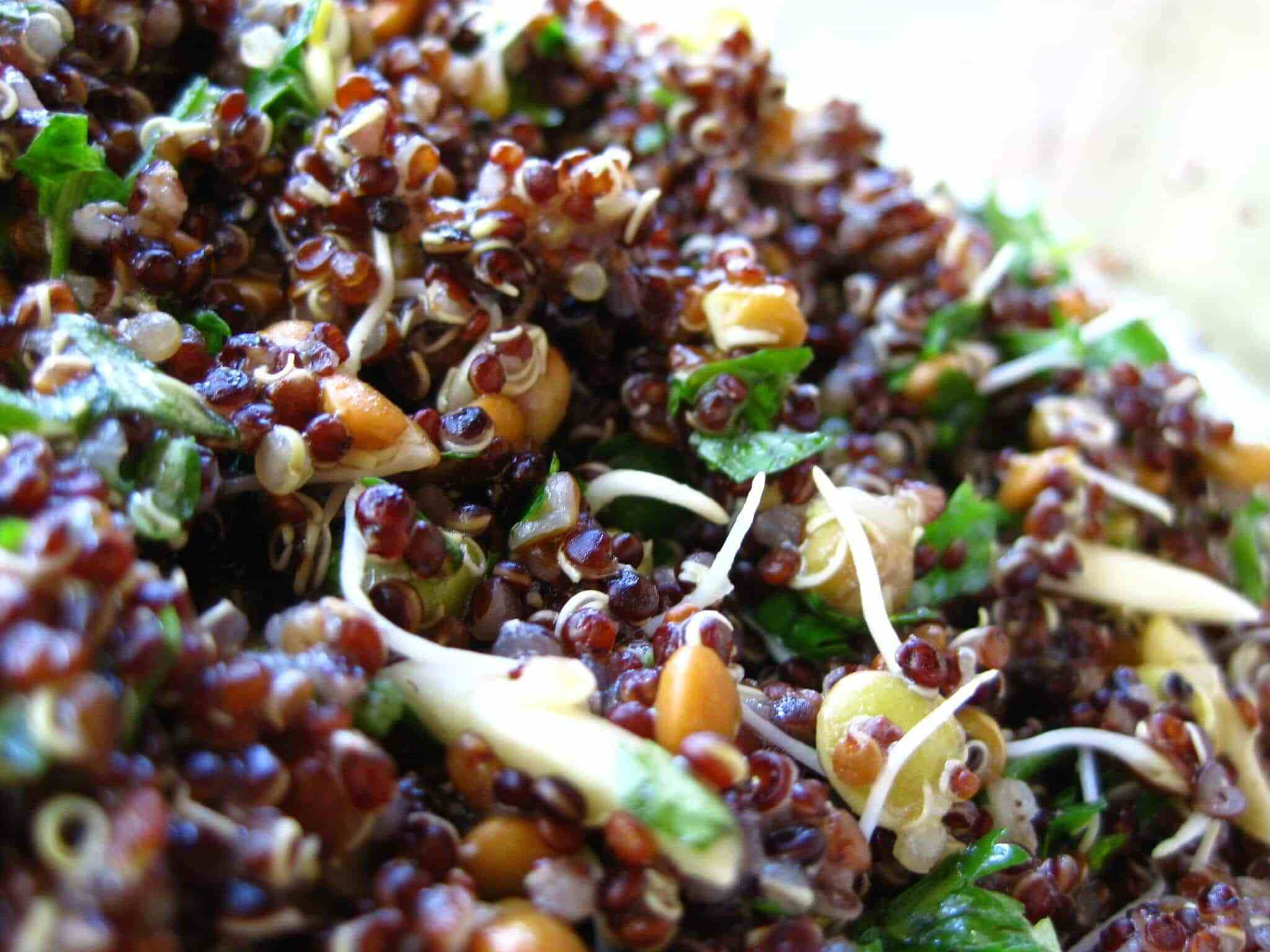 Quinoa Summer Salad
 Lime Summer Quinoa Salad Recipe Greener Ideal