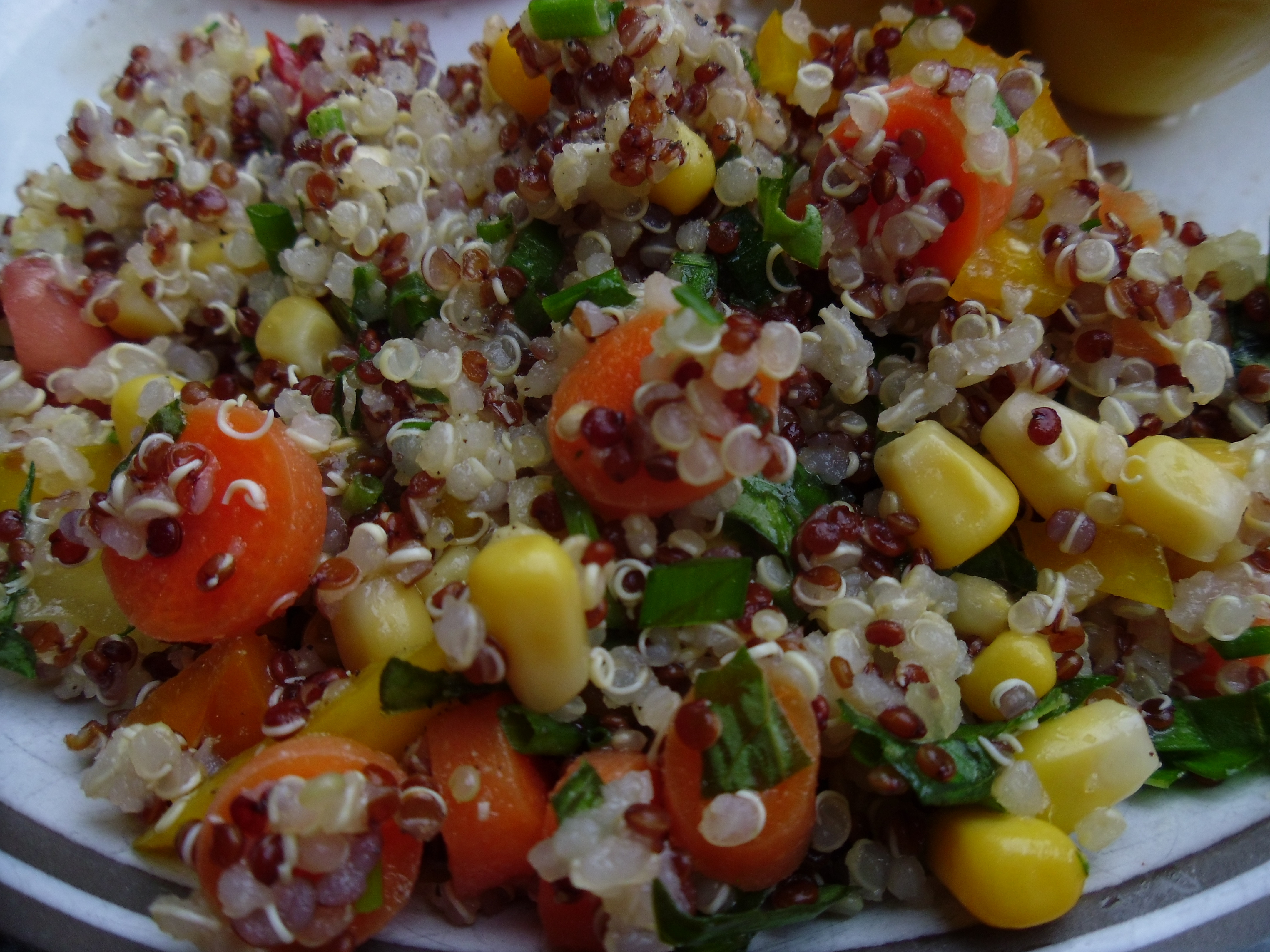 Quinoa Summer Salad
 Quinoa Summer Salad