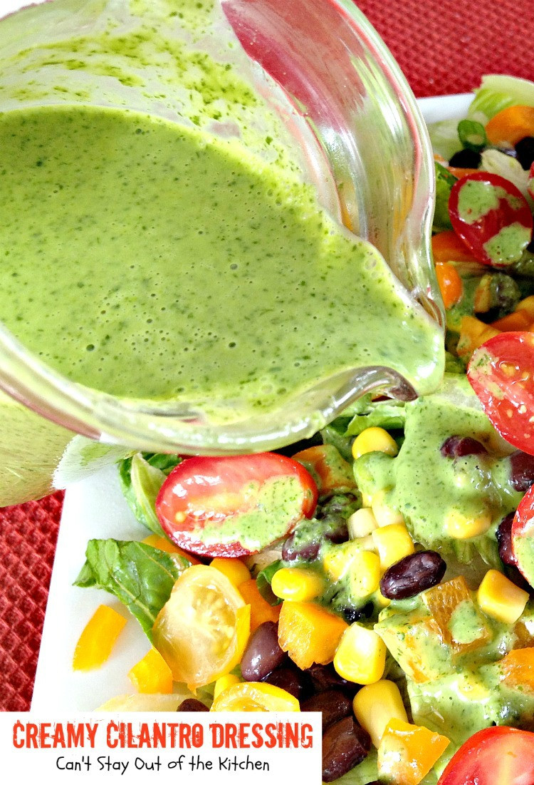 Recipes For Healthy Salad Dressings
 Healthy Orange Balsamic Salad Dressing Can t Stay Out of