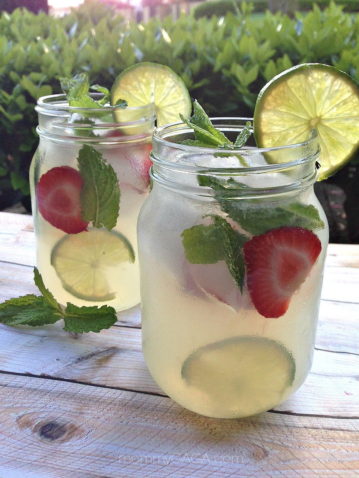 Refreshing Summer Vodka Drinks
 Refreshing Summer Drinks Vodka Mint Lemonade Cocktail