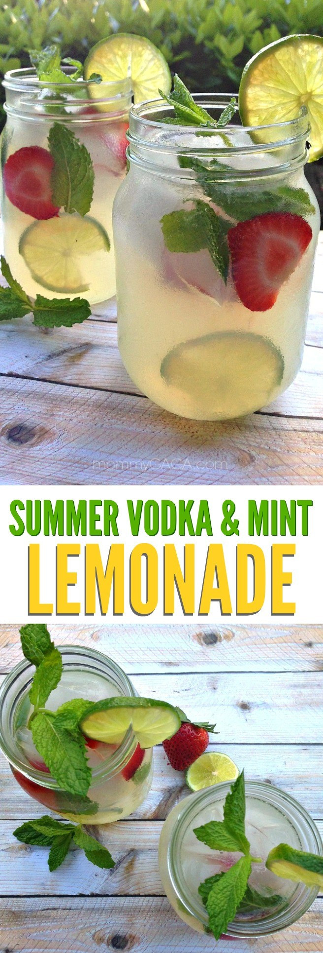 Refreshing Summer Vodka Drinks
 Refreshing Summer Drinks Vodka Mint Lemonade Cocktail