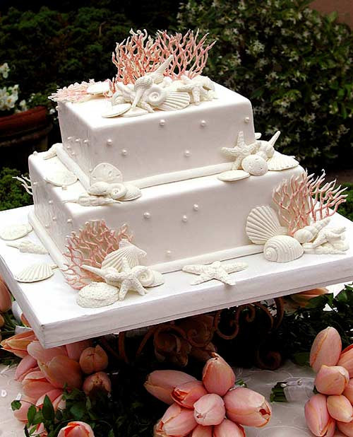 Simple Beach Wedding Cakes
 Concertina Press Stationery and Invitations 5 Seashell