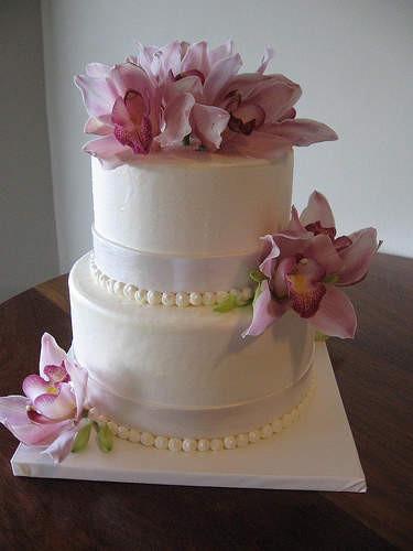 Simple Small Wedding Cakes
 Small Square Wedding Cakes Ideas Small Square Wedding