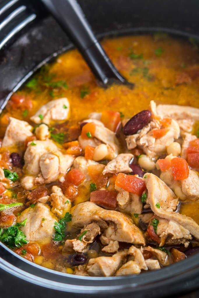 Slow Cooker Chicken Stew Recipes Healthy
 Slow Cooker Spicy Chicken Stew Slow Cooker Gourmet